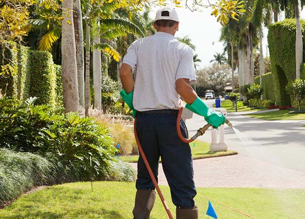 About Harmony ME Pest Control